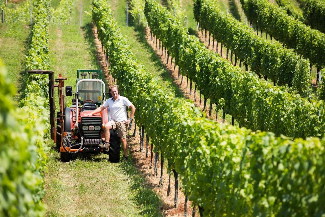 Weingut-Gaestezimmer Uhl Ratsch an der Weinstrasse Ngoại thất bức ảnh